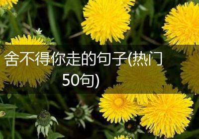 舍不得你走的句子(热门50句)