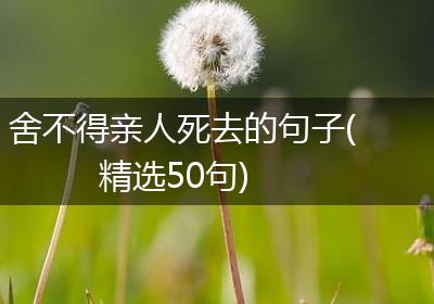 舍不得亲人死去的句子(精选50句)