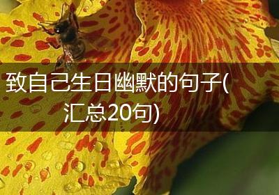 致自己生日幽默的句子(汇总20句)