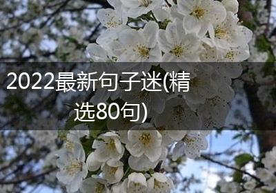 2022最新句子迷(精选80句)