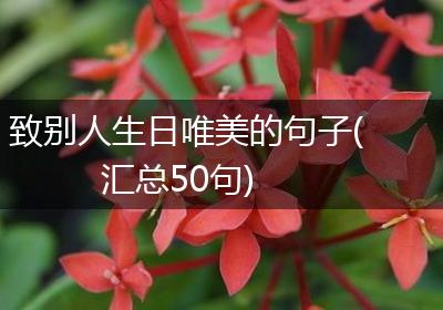 致别人生日唯美的句子(汇总50句)