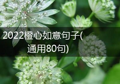 2022橙心如意句子(通用80句)