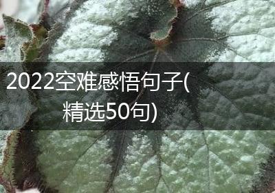 2022空难感悟句子(精选50句)