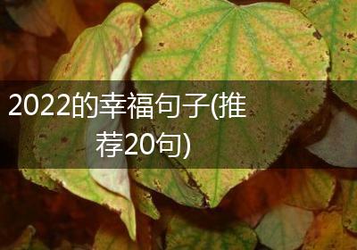 2022的幸福句子(推荐20句)