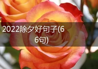 2022除夕好句子(66句)