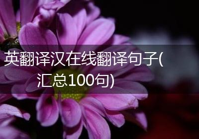 英翻译汉在线翻译句子(汇总100句)