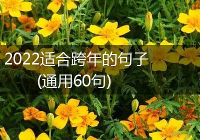 2022适合跨年的句子(通用60句)