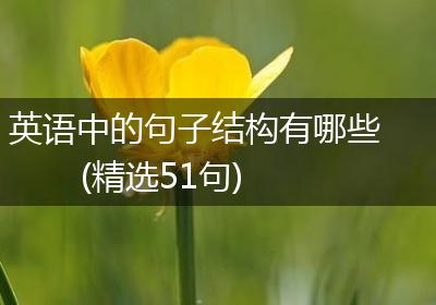 英语中的句子结构有哪些(精选51句)