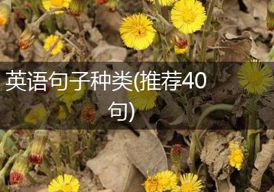 英语句子种类(推荐40句)