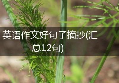 英语作文好句子摘抄(汇总12句)