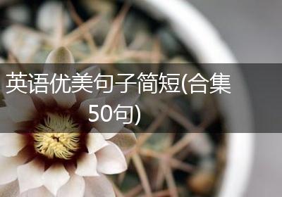 英语优美句子简短(合集50句)
