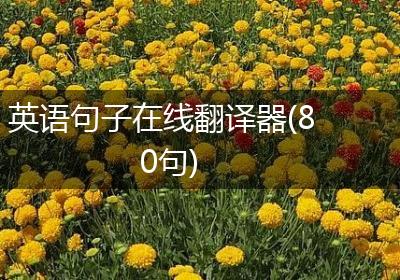 英语句子在线翻译器(80句)