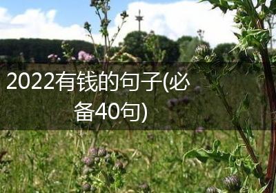 2022有钱的句子(必备40句)