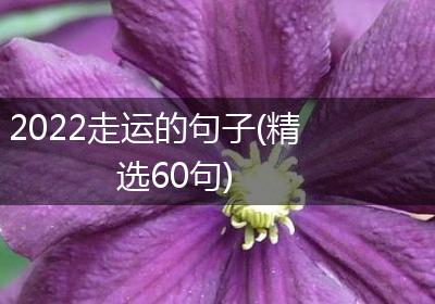 2022走运的句子(精选60句)