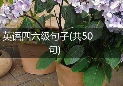 英语四六级句子(共50句)