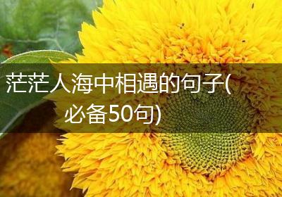 茫茫人海中相遇的句子(必备50句)