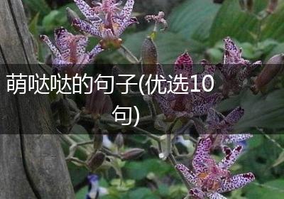 萌哒哒的句子(优选10句)