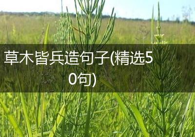 草木皆兵造句子(精选50句)
