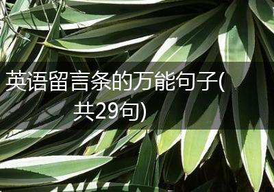 英语留言条的万能句子(共29句)
