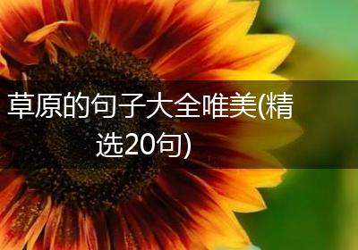 草原的句子大全唯美(精选20句)