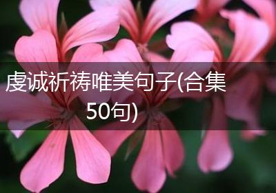 虔诚祈祷唯美句子(合集50句)