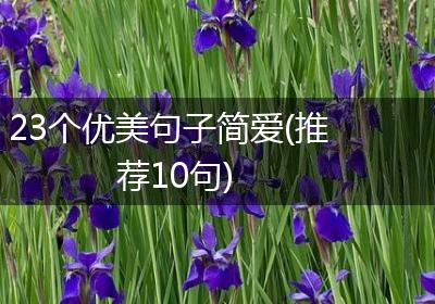 23个优美句子简爱(推荐10句)