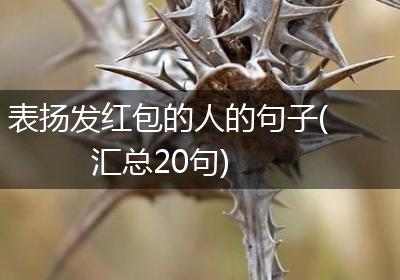 表扬发红包的人的句子(汇总20句)