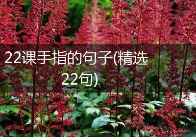 22课手指的句子(精选22句)
