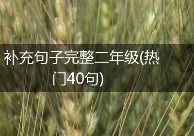 补充句子完整二年级(热门40句)