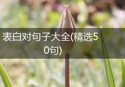 表白对句子大全(精选50句)