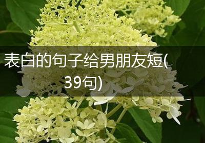 表白的句子给男朋友短(39句)