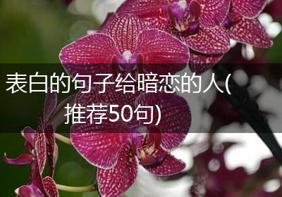 表白的句子给暗恋的人(推荐50句)