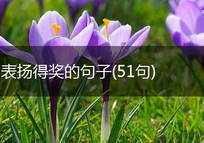 表扬得奖的句子(51句)
