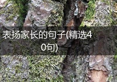 表扬家长的句子(精选40句)