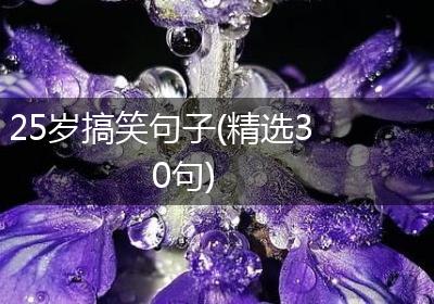 25岁搞笑句子(精选30句)