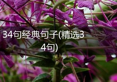 34句经典句子(精选34句)