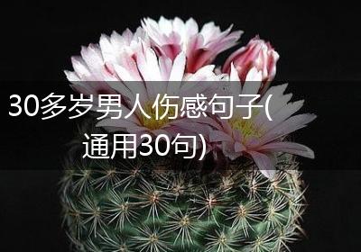 30多岁男人伤感句子(通用30句)