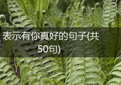 表示有你真好的句子(共50句)
