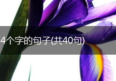 4个字的句子(共40句)