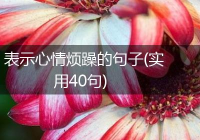 表示心情烦躁的句子(实用40句)