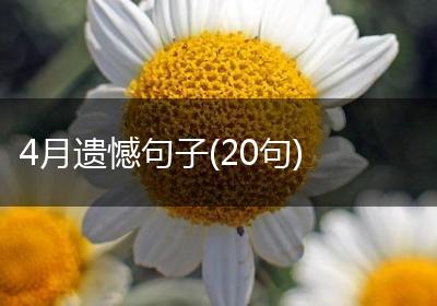 4月遗憾句子(20句)