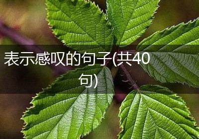 表示感叹的句子(共40句)