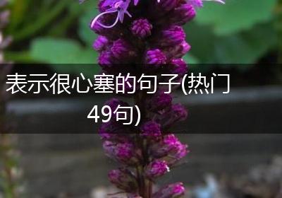 表示很心塞的句子(热门49句)