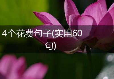 4个花费句子(实用60句)