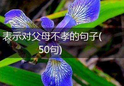 表示对父母不孝的句子(50句)