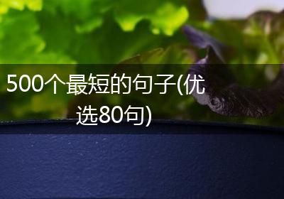 500个最短的句子(优选80句)