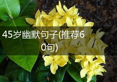 45岁幽默句子(推荐60句)