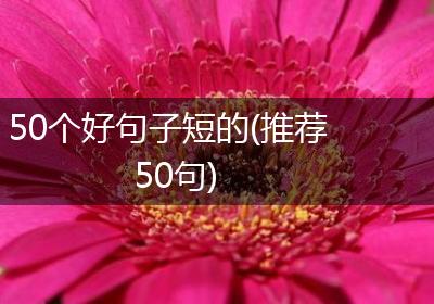 50个好句子短的(推荐50句)