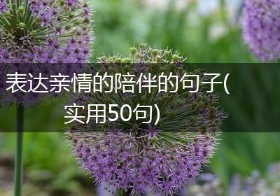 表达亲情的陪伴的句子(实用50句)