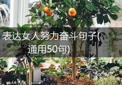 表达女人努力奋斗句子(通用50句)